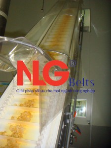 Băng tải sản xuất bánh kẹo - Băng Tải Nguyễn Lưu Gia - Công Ty TNHH Thương Mại Dịch Vụ Nguyễn Lưu Gia